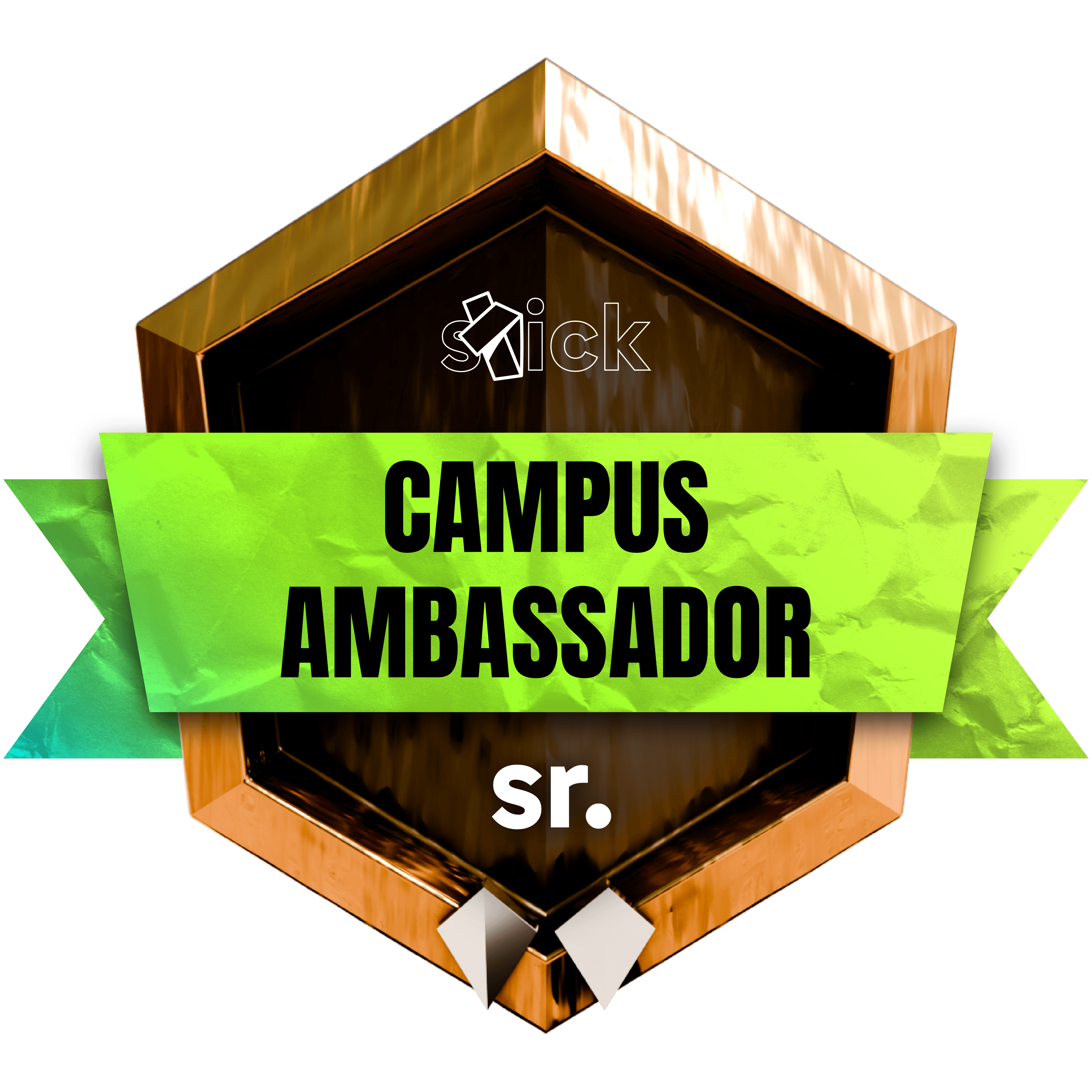 Senior Campus Ambassador